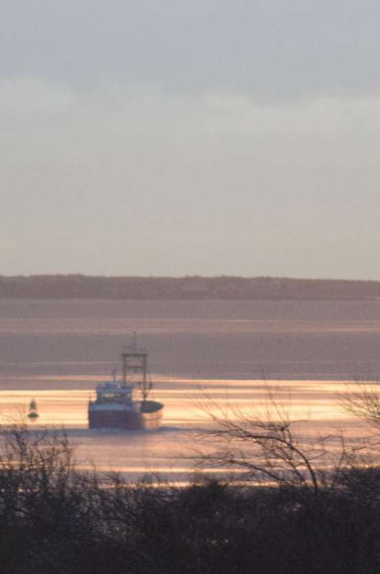 Dawn  Trawler setting out of Carlingford Lough